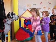 Bezpečný pes - kynologie